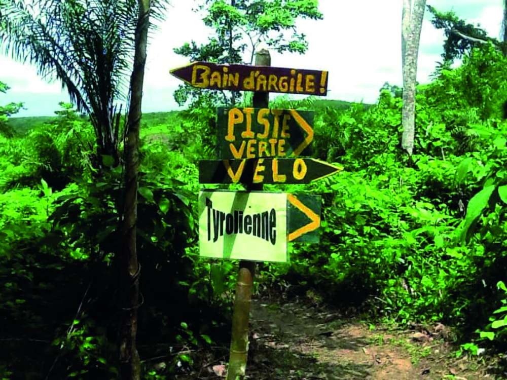 Domaine Bini Voyage