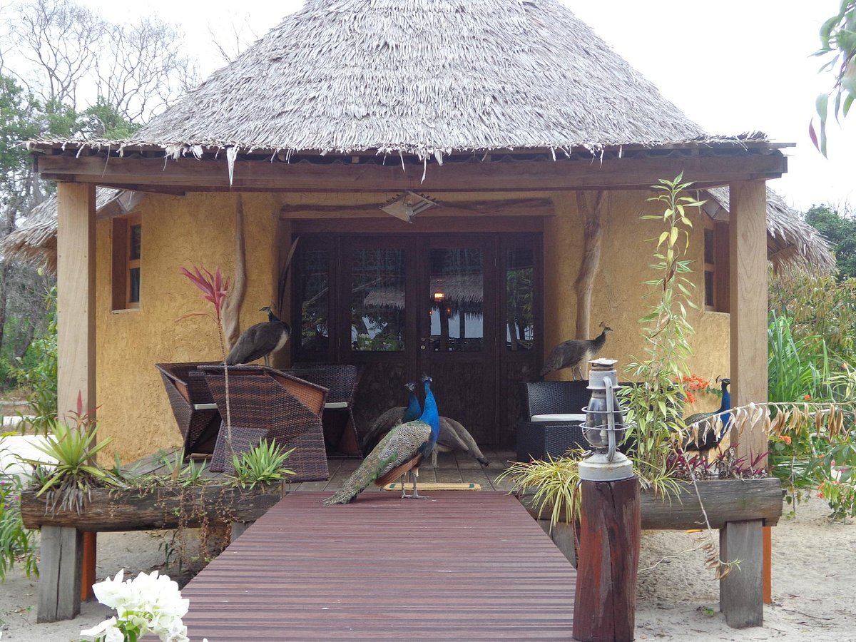 Lodge Les Tortues