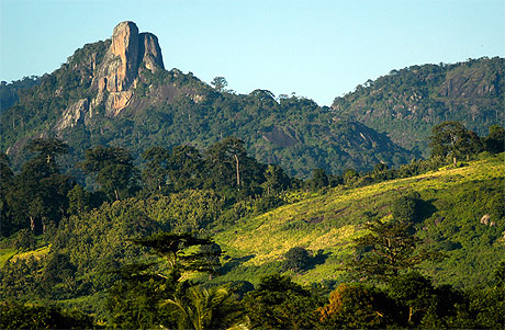 Dent de Man