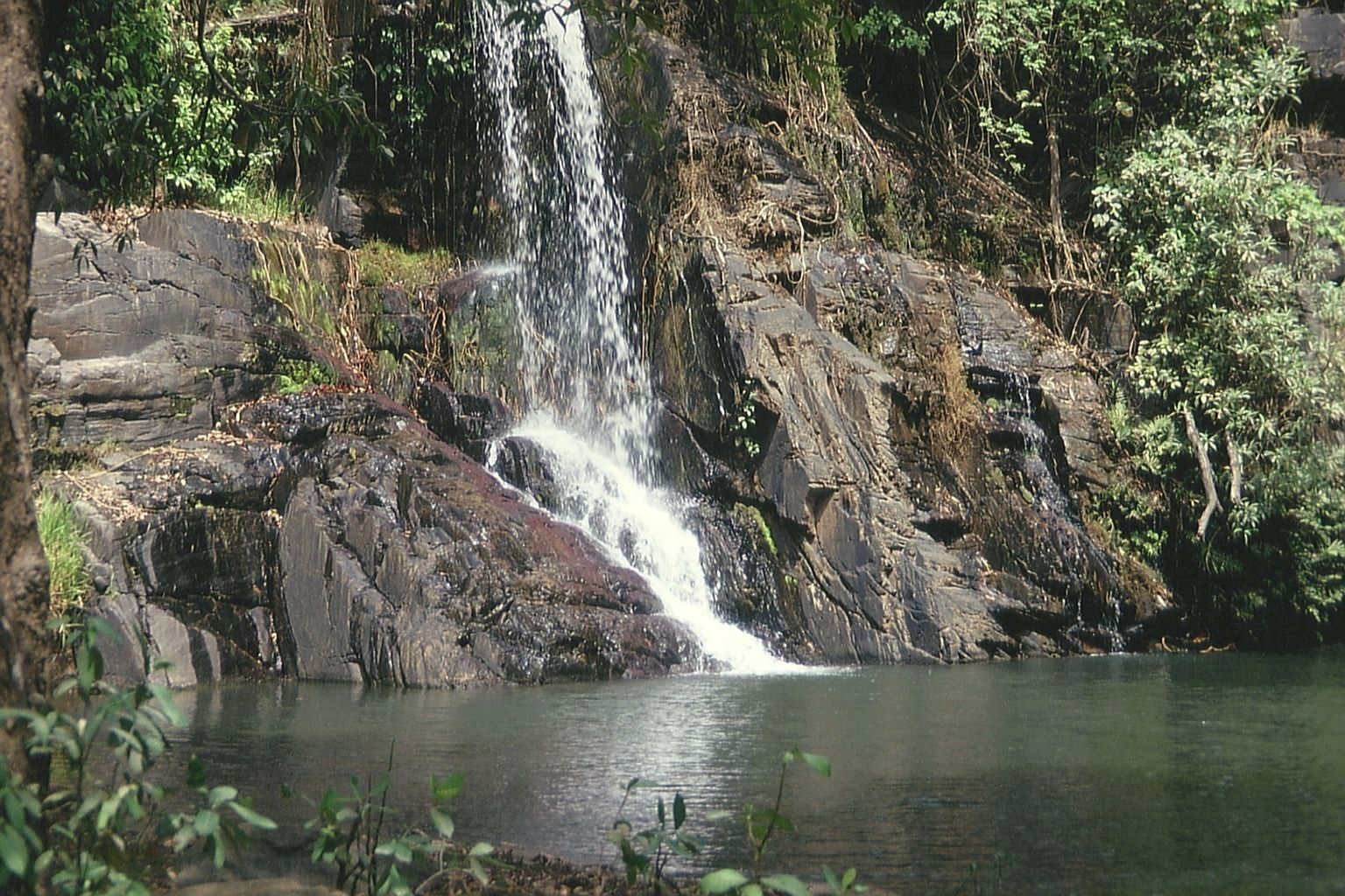 Forêt Sacrée de Gbépleu