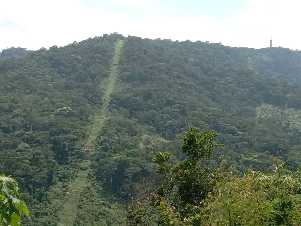 Mont Tonkpi