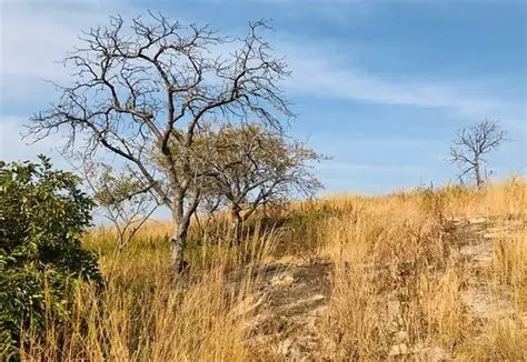 Mont Korhogo
