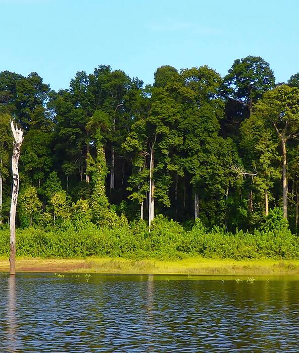 Parc National de la Comoé