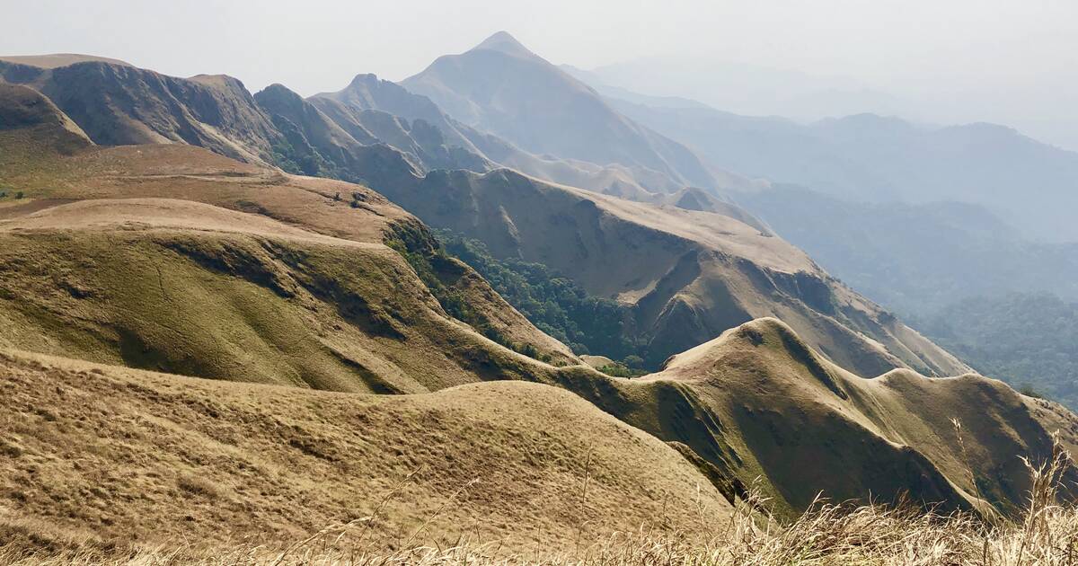 Réserve Naturelle du Mont Nimba