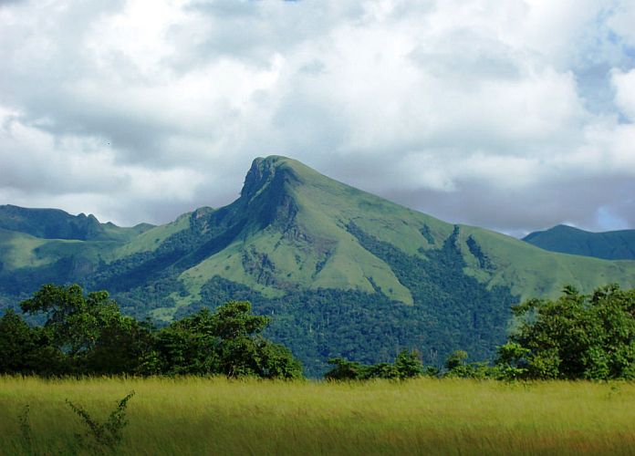 Réserve Naturelle du Mont Nimba